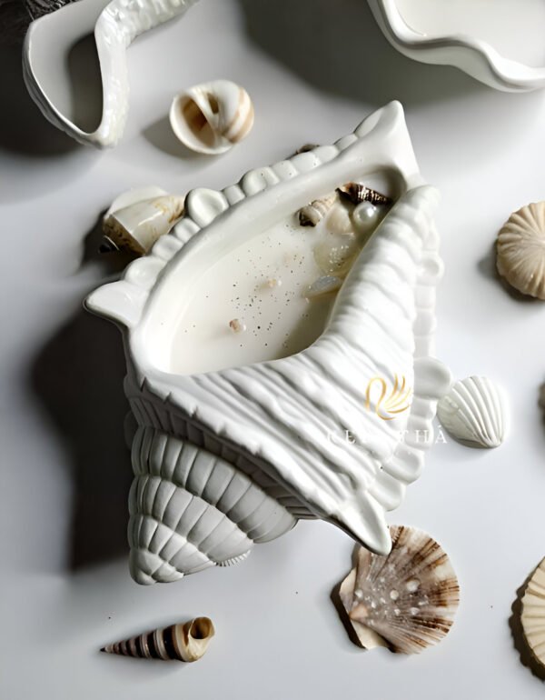 Conch  Candle